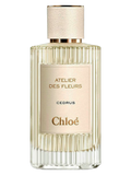Chloe Cedrus